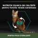 Hrana uscata Purina Pro Plan Sterilised cu somon pentru pisici, 10 Kg